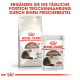 Verpackung von Royal Canin Senior Ageing 12+ Katzenfutter, mit einem Trockenfutterbeutel und einem Nassfutterbeutel, mit Text zur täglichen Fütterung.