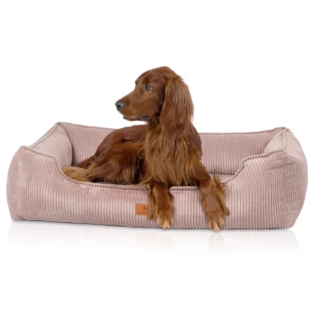Langhaariger brauner Hund, der entspannt in einem roséfarbenen Cord‑Hundebett liegt, die Vorderpfoten über den Rand gelegt, mit kleinem braunem Etikett.