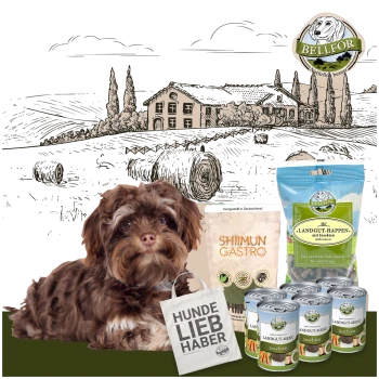 Ein brauner Hund sitzt neben Hundefutterprodukten, darunter ein Sack mit der Aufschrift "LANDGUT-HAPPEN mit Insekten," mit einer rustikalen Farmillustration im Hintergrund.