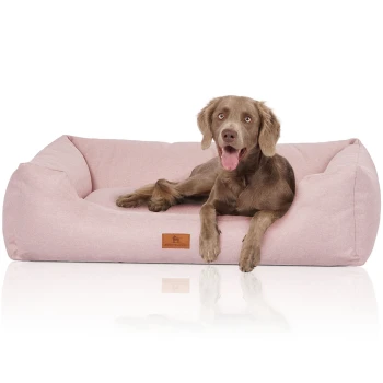 Ein glücklicher brauner Hund, der auf einem weichen rosa Haustierbett mit einem Lederschild, das "KNUFFELWUFF" liest, entspannt.