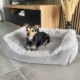 Ein kleiner Hund sitzt bequem in einem plüschigen, grauen Haustierbett mit einem flauschigen Rand, vor einem modernen Innenraum.
