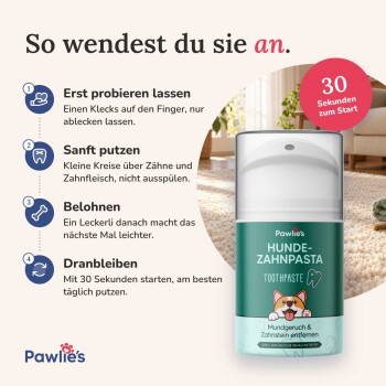 Eine Person hält sanft den Mund eines Hundes offen, um das gesunde Zahnfleisch und die Zähne zu zeigen, mit Text, der "Gesundes Zahnfleisch" und "3-FACH SCHUTZ" hervorhebt.