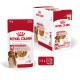 Nourriture pour chiens Royal Canin Medium Adult, sachet de 140g, pack de 10, présentant des morceaux dans une sauce, avec une image de chien et des allégations nutritionnelles pour le soutien de la masse musculaire.