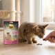 Pręgowany kociak wąchający smakołyk z ręki obok różowej torby Select Gold Snacks Kitten.