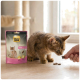 Pręgowany kociak wąchający smakołyk z ręki obok różowej torby Select Gold Snacks Kitten.