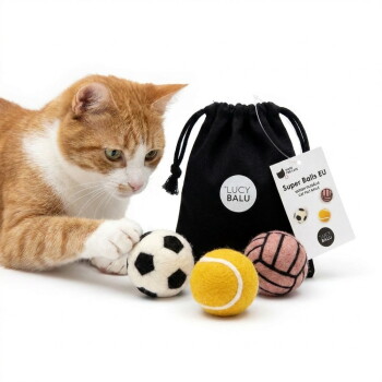 Rot-weiße Katze stupst Filzbälle (Fußball, Tennis, pink) neben einem schwarzen Beutel mit der Aufschrift 'LUCY BALU', Anhänger 'Super Balls EU'.