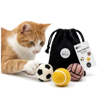 Rot-weiße Katze stupst Filzbälle (Fußball, Tennis, pink) neben einem schwarzen Beutel mit der Aufschrift 'LUCY BALU', Anhänger 'Super Balls EU'.