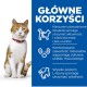 Obraz kota z tekstem: "Główne Korzyści" - wspiera aktywność, masę ciała, zdrowie układu moczowego i witalność z wysoką L-lizyną.