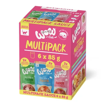 Multipack Katzenfutter mit sechs 85g Beuteln in verschiedenen Geschmacksrichtungen, einschließlich Huhn und Lachs in Sauce, mit leuchtender Verpackung.