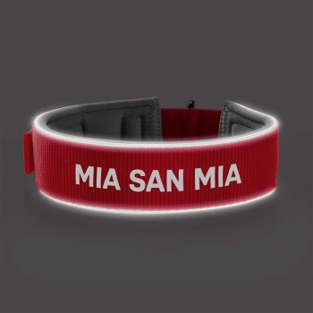 Rotes Haustierhalsband mit dem Text "MIA SAN MIA", der prominent in Weiß auf einem dunklen Hintergrund angezeigt wird.