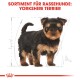 Illustration eines Yorkshire Terrier Welpen mit einem schwarz-braunen Fell, begleitet von dem Text "SORTIMENT FÜR RASSEHUNDE: YORKSHIRE TERRIER."