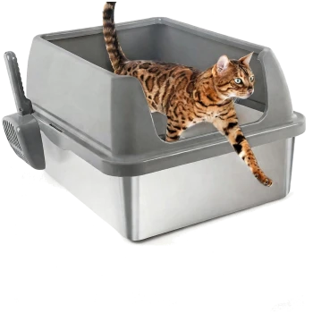 Graue, hohe offene Katzentoilette mit befestigter Schaufel; eine Bengalkatze steigt heraus, die Vorderpfote ausgestreckt.