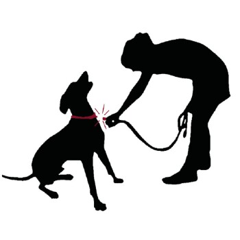 Silhouette einer Person, die eine Leine an einen sitzenden Hund anbringt, was die Bindung zwischen Haustier und Besitzer betont.