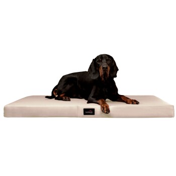 ® Orthopädische Hundematratze ALICE EASY CLEAN Kunstleder Hundebett creme 80 cm, 9 cm, 60 cm