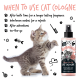 Kätzchen streckt sich neben einer Flasche Bugalugs Papaya & Kokos Katzenkolonie mit Anwendungstipps und verspielten Symbolen.