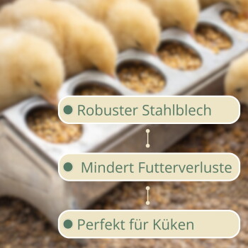 Gelbe Küken an einem Metallfutterspender, sichtbarer deutscher Text: 'Robuster Stahlblech, Mindert Futterverluste, Perfekt für Küken'
