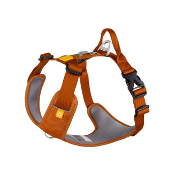 Geschirr Roam Terracotta M