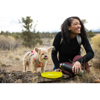 Ein kleiner, flauschiger Hund mit einem rosa Geschirr steht neben einer gelben Schüssel auf einem Stein, während eine Person neben ihm kniet und eine Wasserflasche hält.