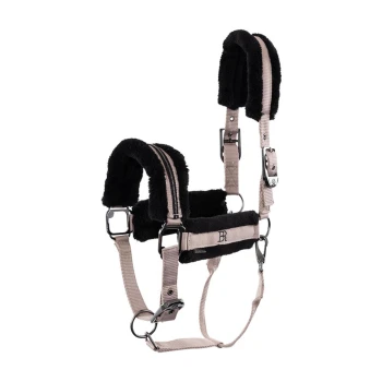 Ein schwarzes und beiges Haustiergeschirr mit weicher Polsterung, mit verstellbaren Riemen und Metallclips für eine sichere Befestigung.
