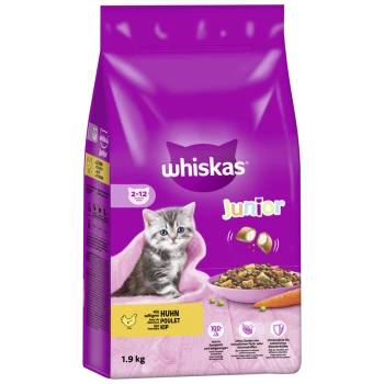 Sac d'aliments pour chat Whiskas Junior violet avec un chaton, un bol de croquettes, logo «whiskas», mention «Junior», poulet (Huhn/Poulet/Kip) 1,9 kg.