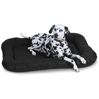 Ein schwarzes Hundebett mit einem Dalmatiner, der bequem darauf liegt und sein charakteristisches schwarz-weiß geflecktes Fell zeigt.
