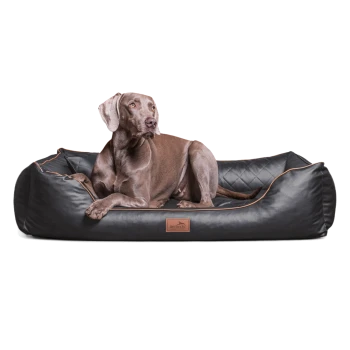 Ein brauner Hund, der auf einem stilvollen schwarzen Hundebett mit gestepptem Design und braunen Akzenten entspannt, mit einem Holzschild, auf dem "tierlindo" steht.