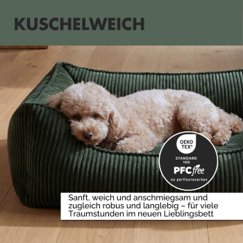 Orthopädisches Hundebett mit Memory Foam-Technologie, in grünen und blauen Farben, Hund sitzt auf der Matratze. Text: "Orthopädische Unterstützung".