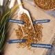 Ein Holzbrett mit getrockneten Mehlwürmern auf einer Holzoberfläche, umgeben von grünen Pflanzen und gelben Blumen, mit einem blauen Etikett, das "Ganzjahresfütterung" liest.