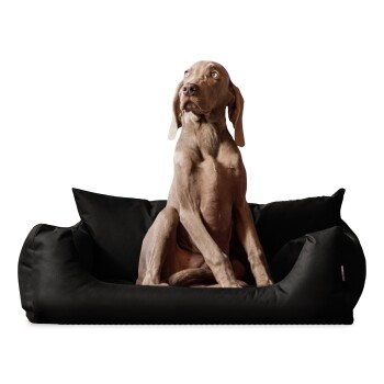 NEMO Hundebett Hundesofa S M L Hundekorb Katzenbett 65 80 100cm schwarz 65 cm, 20 cm, 50 cm