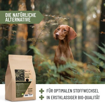 Ein brauner Hund sitzt in einer Waldumgebung, neben einem beigen Sack beschriftet "Wohlfühl Sticks" mit Text, der natürliche Zutaten und Vorteile hervorhebt.