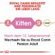 Royal Canin Leitfaden für Perserkatzen, der "Kätzchen" für 2 Monate und "Erwachsene" für 12 Monate angibt, mit einer Übergangsempfehlung.
