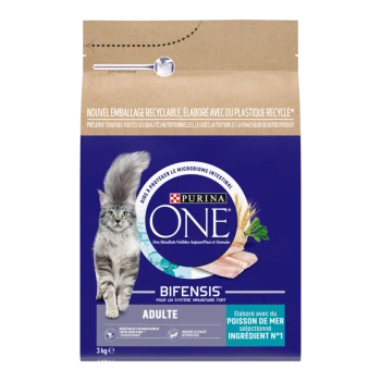 Sac de nourriture pour chat adulte Purina ONE Bifensis, bleu avec dessus kraft, image d'un chat gris à poil long et texte visible « ADULTE » et « POISSON DE MER ».