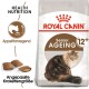 Senior Ageing 12+ 2 kg