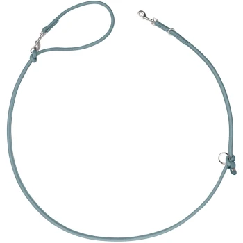 Hellblaue Leder-Schlupfleine für Hunde mit Metallverschluss und Verstellknoten auf weißem Hintergrund.