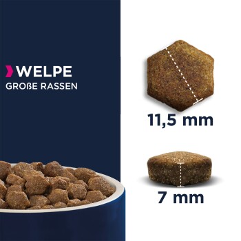 Trockenfutter Hund Puppy, Lamm & Reis 2x12 kg