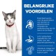 Een grijze en witte kat met groene ogen en een rode halsband zit naast blauwe tekst die taurine, mineralen, verteerbare ingrediënten en vitamines opsomt.