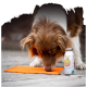Ein brauner Hund mit einem Halsband leckt eine orange Silikonmatte neben einer Flasche "Gemüsebeet Veggie Snack für jeden Hund".