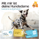Bester Komfort für deine Hündin: extrem saugstark, 5 Größen, 3 Einstellmöglichkeiten, weiches Innenfutter.