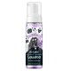 Flasche Bugalugs No Rinse Lavendel- & Kamillenshampoo, 200ml, mit einem Cartoon-Hund und Text, der vegan, pH-ausgeglichen und parabenfrei hervorhebt.