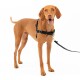 Easy Walk Anti-Zieh-Hundegeschirr schwarz M