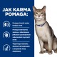 Chat avec collier bleu à côté d'un panneau bleu portant l'inscription 'JAK KARMA POMAGA :' montrant des icônes représentant les bénéfices pour les reins, le microbiome intestinal et la masse musculaire.