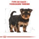 Illustration d'un chiot Yorkshire Terrier avec un pelage noir et feu, accompagnée du texte "TYPE DE RACE : YORKSHIRE TERRIER" en rouge gras.