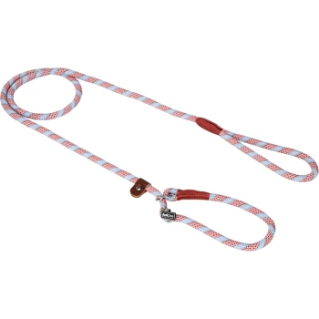 Colorful braided dog leash with red and blue patterns, featuring a leather handle and a metal clip for attachment.