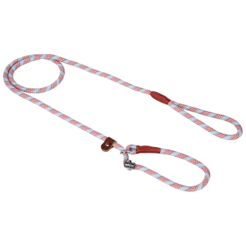 Colorful braided dog leash with red and blue patterns, featuring a leather handle and a metal clip for attachment.
