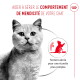 Chat gris avec titre en français sur la gestion du comportement de mendicité et texte 'Texture aérée pour une écuelle plus remplie'