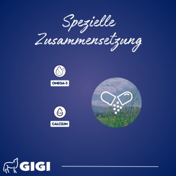 Blauer Hintergrund mit "Spezielle Zusammensetzung," Omega-3 und Calcium-Symbolen, Kapseln, die ihren Inhalt ausgießen, und dem Gigi-Logo am unteren Rand.