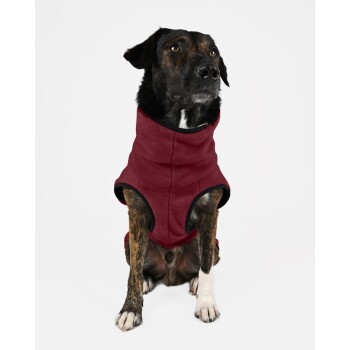 Schwarz-brauner Hund trägt eine dunkelrote Fleeceweste mit schwarzem Rand und sitzt vor weißem Hintergrund.