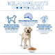 Nederlandse hondenvoerpromo: Labrador (gezicht vervaagd) met kom onder koptekst 'BELANGRIJKSTE VOORDELEN' en drie iconen met voordelen/tekst.