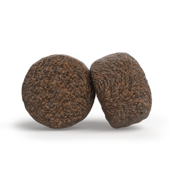 Zwei runde, grob strukturierte braune Tierfutterpellets (große Kroketten) auf brauner Oberfläche.