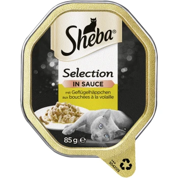Selection in Sauce Geflügelhäppchen 22x85g Sheba Katzenfutterbeutel mit "Auswahl in Sauce" mit Hühnerstücken, 85g, und einer grauen Katze, die daneben liegt.
